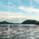 Parc national du Bic 2020 56