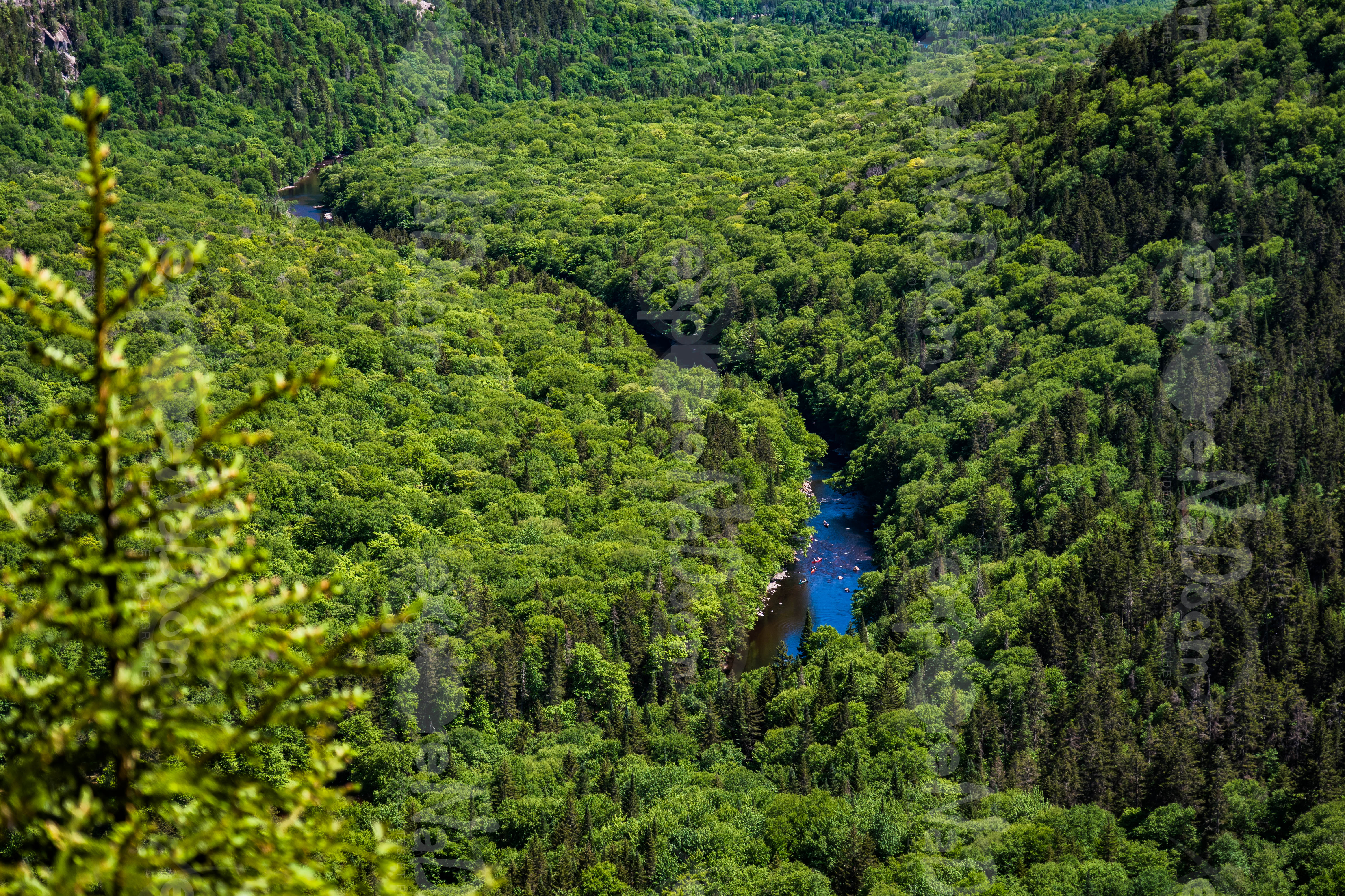 Vallée Bras-Du-Nord – Vue sur la vallée 3